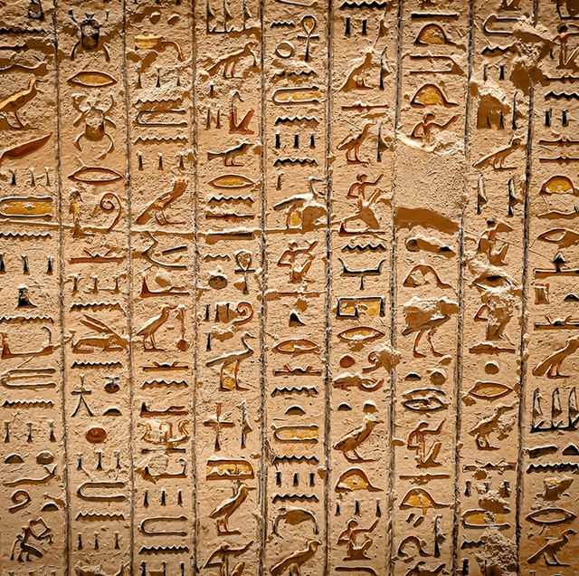 Events and Spotlights